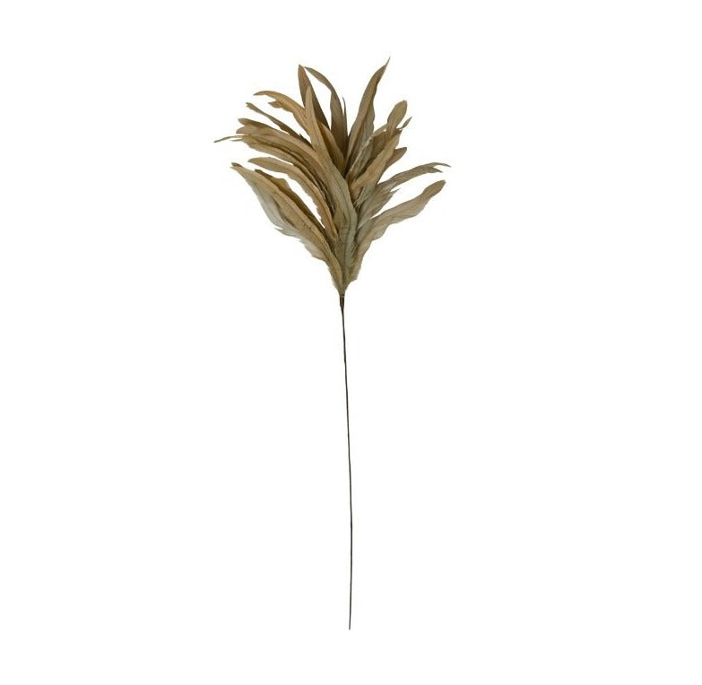Pluim veren beige