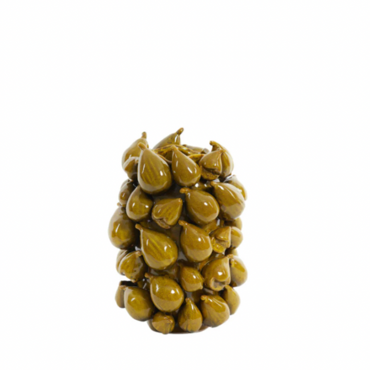 Vaas Tuscan Fig