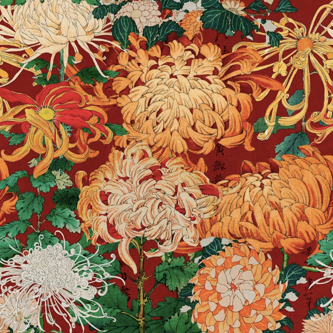 CHRYSANTHEMUMS